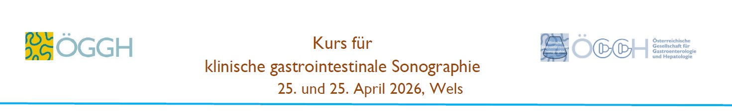 Kurs für klinische gastrointestinale Sonographie